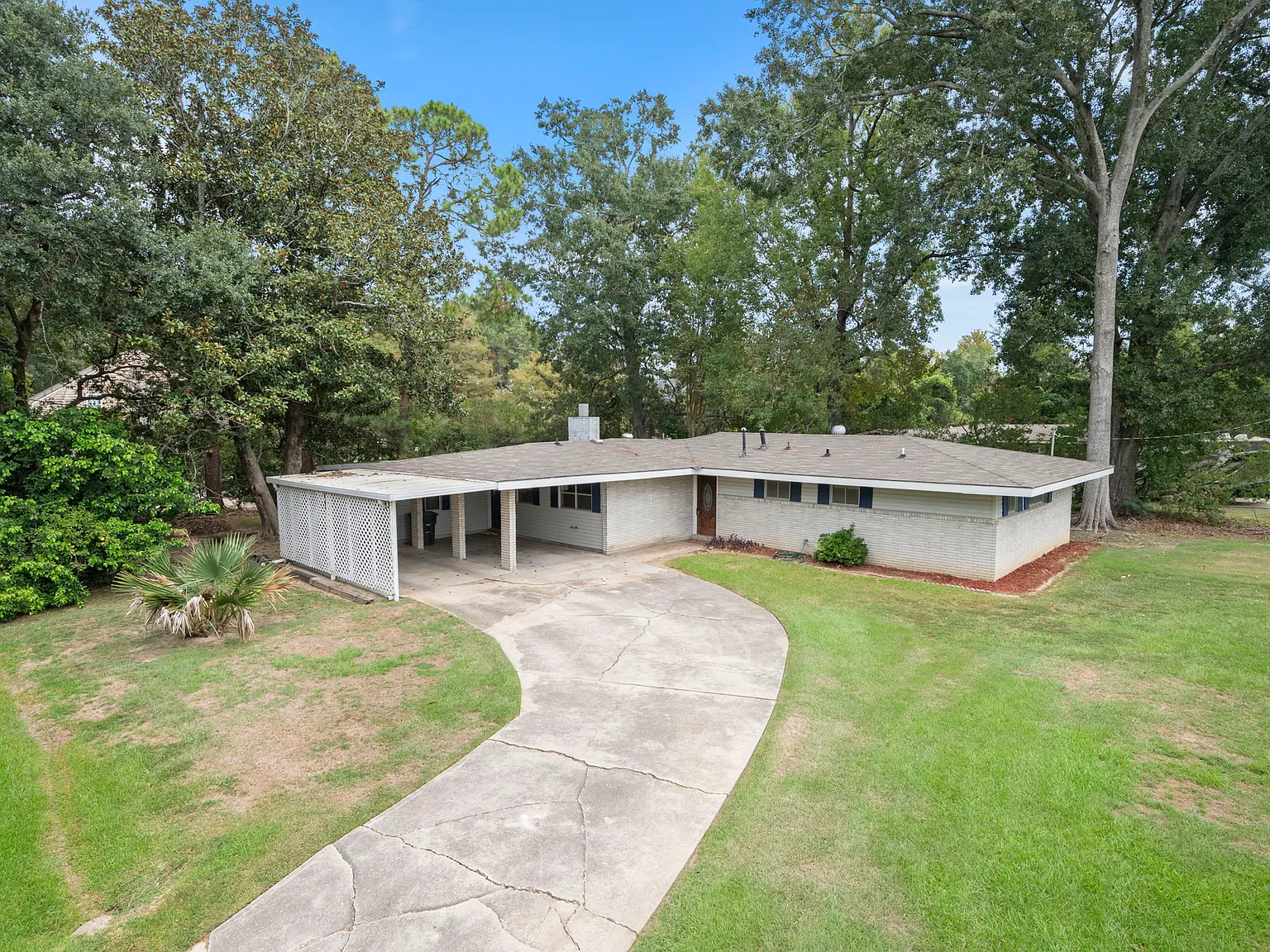 Forest Hill - 1 — Photo 1