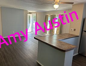 Living room and kitchen