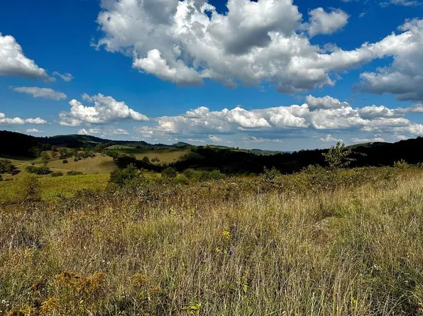 Gray Farm Rd, Lebanon, VA 24266