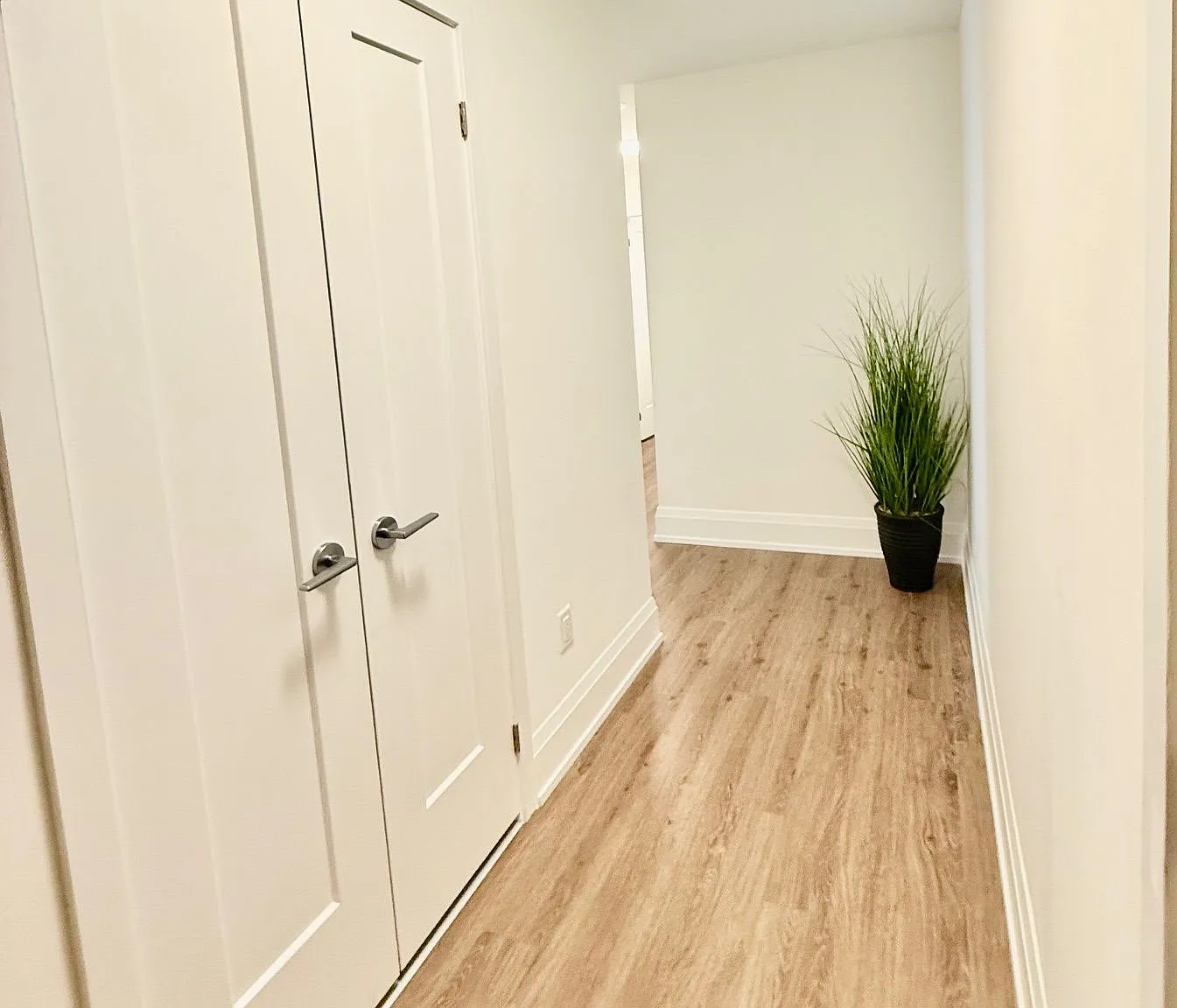 3 bed, $3,750 — Photo 4