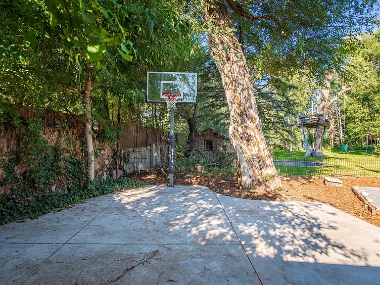 Basketball