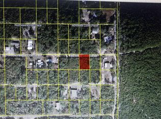 NE 235th St LOT 19, Fort Mc Coy, FL 32134