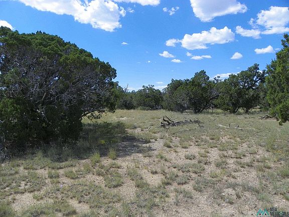2nd image of 85 Northern Trl