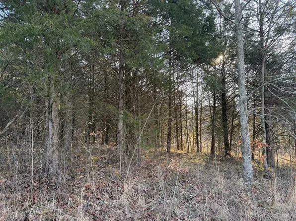 0 Billy Sparks Rd, Edmonton, KY 42129