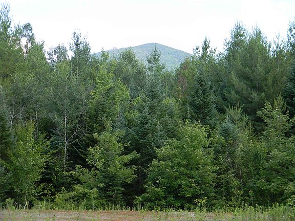 4th image of 10 McKenzie Woods Road