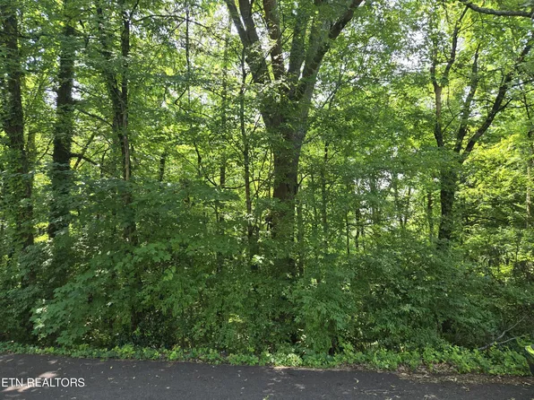 0 NE Snowood Dr, Knoxville, TN 37918