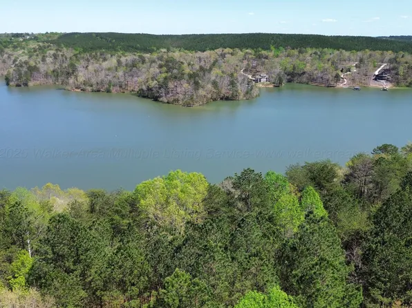 3 County Road 204, Arley, AL 35541