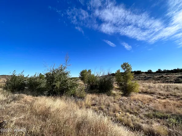 S Centennial Blvd, Snowflake, AZ 85937