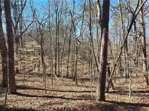 1 Friendship Trl #2, Talking Rock, GA 30175