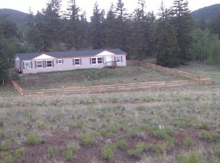 2604 Singletree Rd, Hartsel, CO 80449