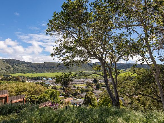 5th image of 3528 Lazarro Dr