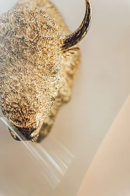 Rented by Nooklyn NYC LLC | media 45