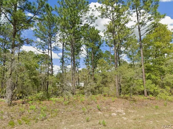 2175 W Galaxy Ln, Citrus Springs, FL 34434