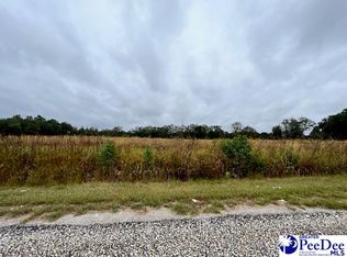 3735 Shady Rd, Johnsonville, SC 29555