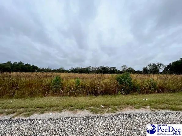 3735 Shady Rd, Johnsonville, SC 29555