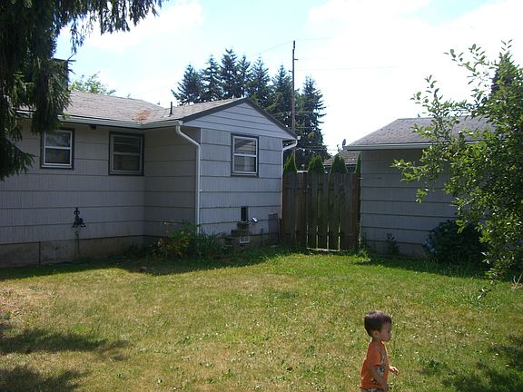 back yard - boy not included
