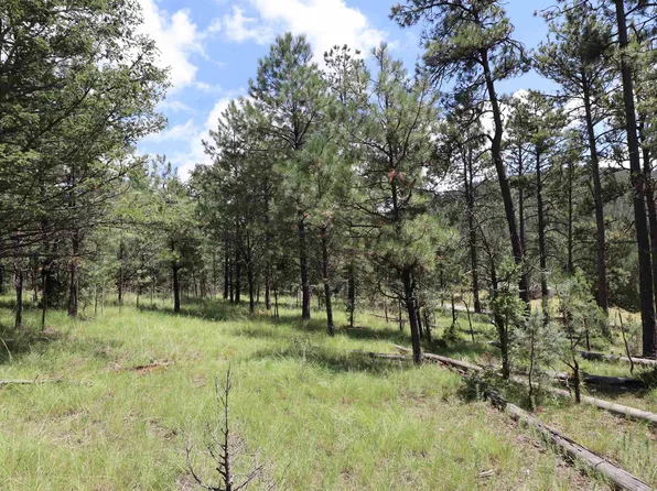 207 Bell Canyon Rd, Cloudcroft, NM 88317