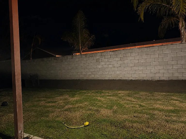 210 Calderdale Dr — Photo 4