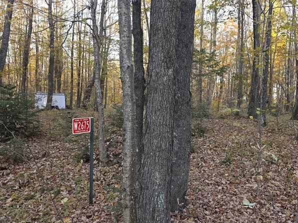 W2675 Forestview Lane, Phillips, WI 54555