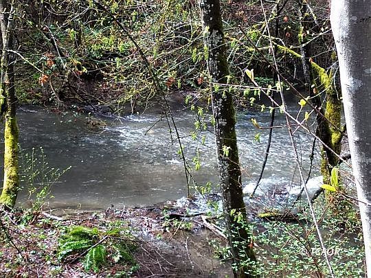 2nd image of 420 Price Creek Rd