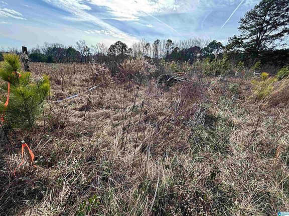 3rd image of 0 County Road 42