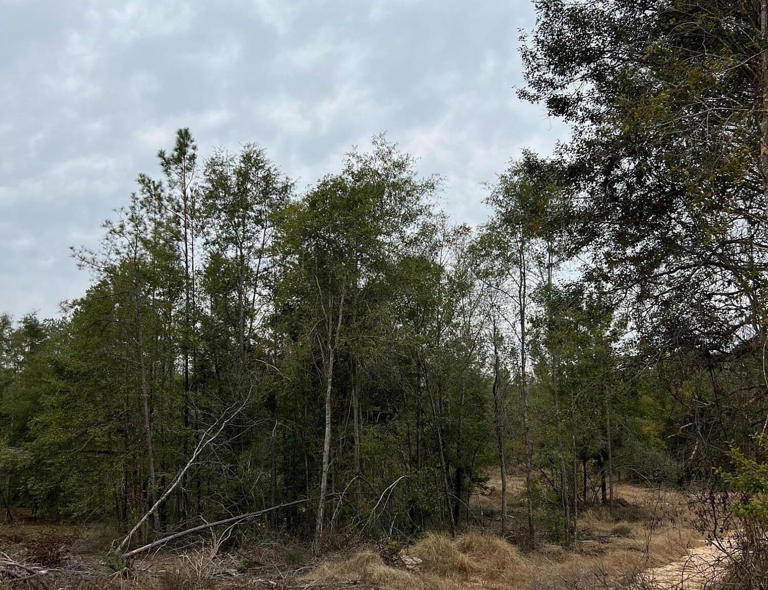 17 Robert Moore Rd, Chunky, MS 39323 Zillow