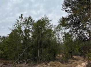 17 Robert Moore Rd, Chunky, MS 39323