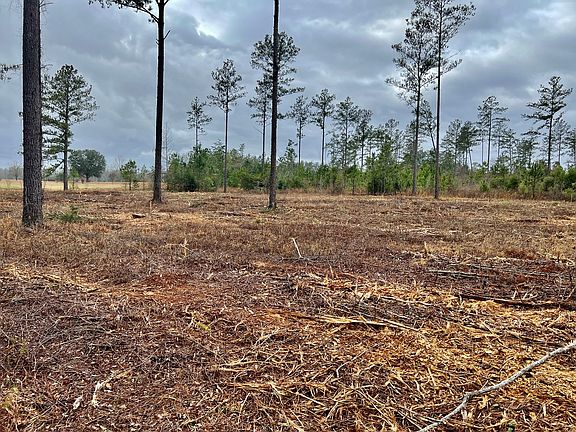 2nd image of 14AC S County Road 55