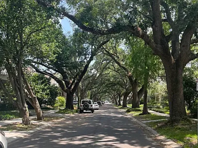 Octavia Street in front of 2308