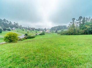 19 Ridge Glen Ln, Leicester, NC 28748