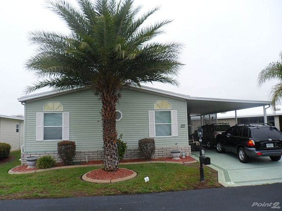 Palm Tree in Your Front Yard