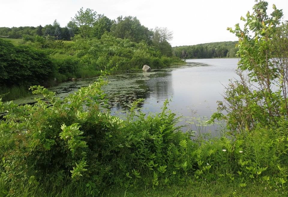 2nd image of 120 Hollow Hill Rd