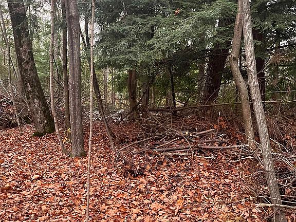 2nd image of 0 N Forest Beach Shrs