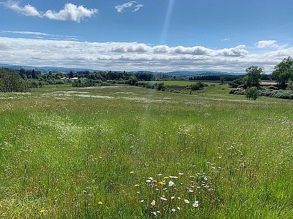 Southern acreage