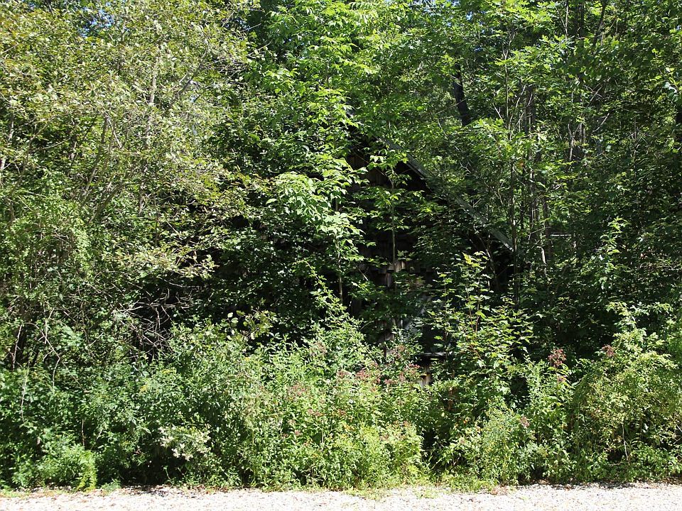 2nd image of Pine Ln