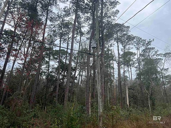 5th image of 7165 Cook Rd