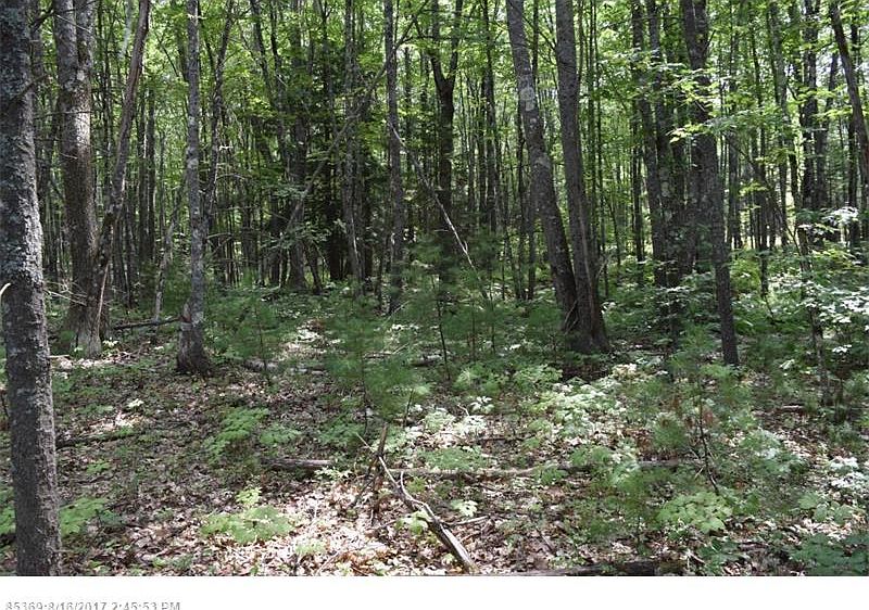 2nd image of 289 Wire Rd