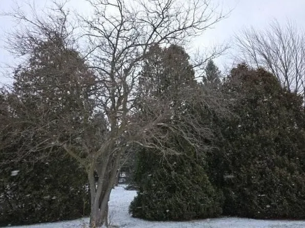 2342 Fitchville River Rd, Wakeman, OH 44889