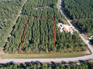 15336 Red Hawk Rd, Willis, TX 77378