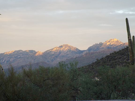 View Catalina Mtns