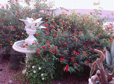 Even a fountain welcomes you!