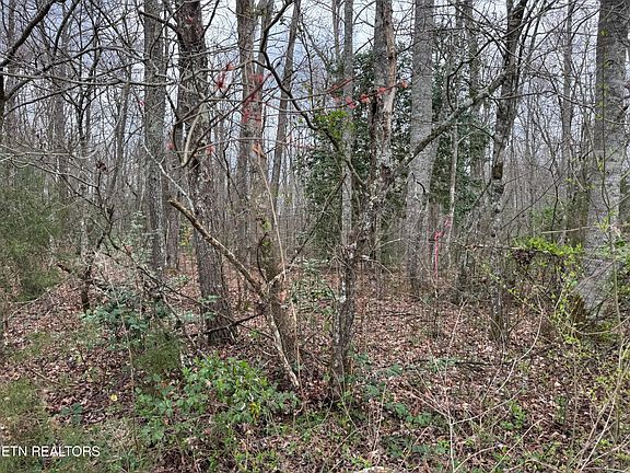 5th image of Honey Creek Loop Rd