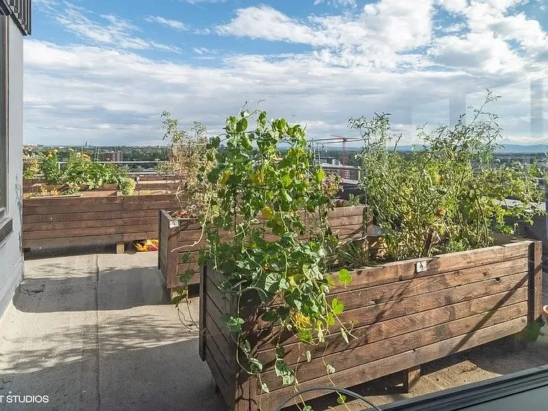 Gardening area for residents to enjoy on the rooftop patio at Archer Tower in Denver, CO