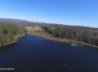 339-200 Ennis Mountain Ln, New Albany, PA 18833