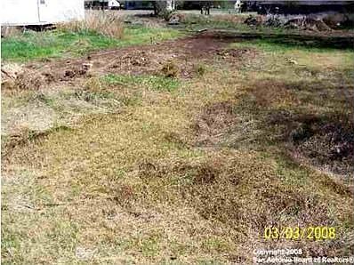 1st image of 910 Waltom Ave