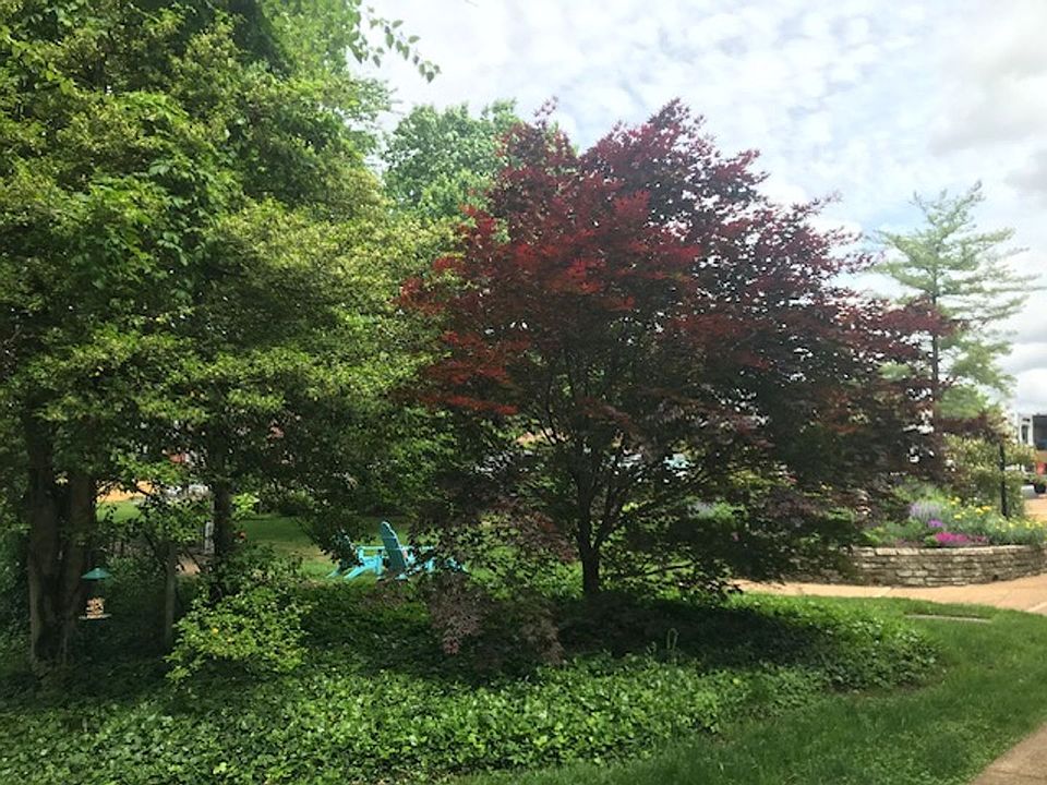 Algonquin Apartments 55 S Gore Ave ster Groves MO Zillow