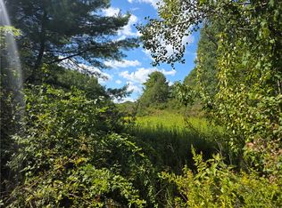 Frog Hollow Rd #50, Painted Post, NY 14870