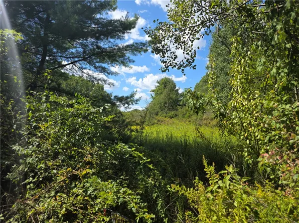 Frog Hollow Rd #50, Painted Post, NY 14870