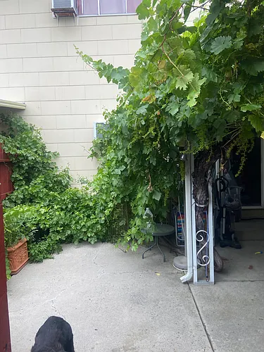 (Undisclosed Address) Photo 1