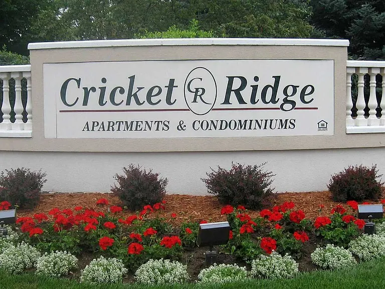 Cricket Ridge — Photo 18